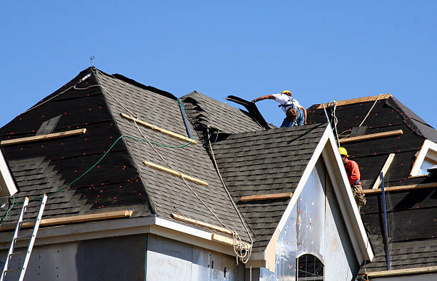 Best Metal Roofing Contractor  in North Hudson, WI