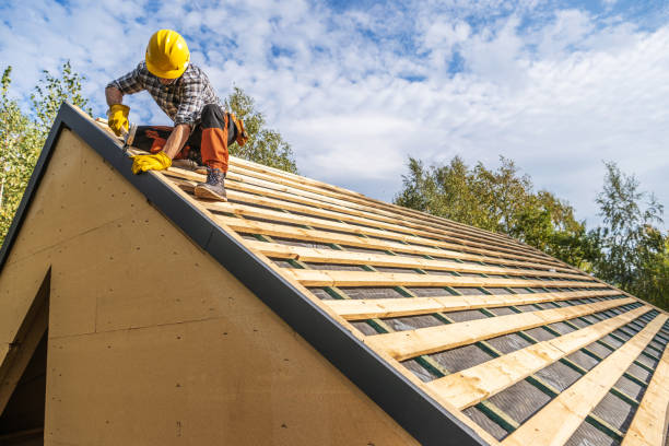 Best Roof Gutter Cleaning  in North Hudson, WI